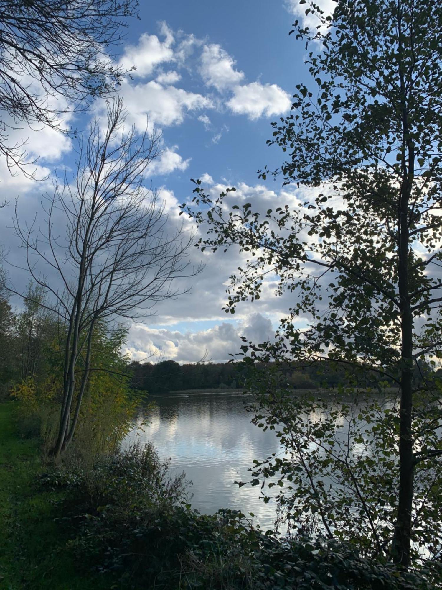 Le Domaine Du Pin Panzió Châtillon-sur-Chalaronne Kültér fotó
