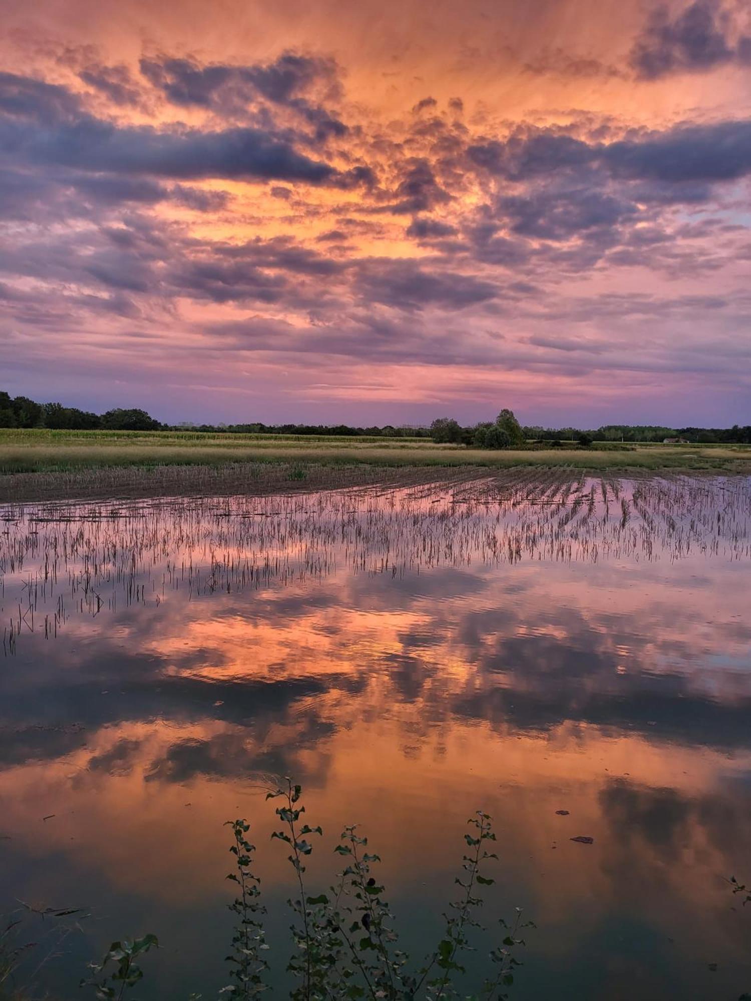 Le Domaine Du Pin Panzió Châtillon-sur-Chalaronne Kültér fotó